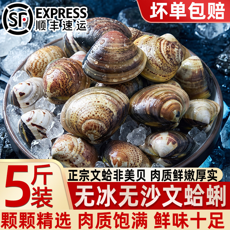 野生无冰无沙速冻超大文蛤