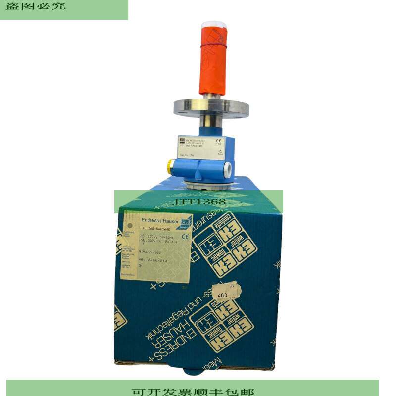 Endress+Hauser FTL360-RAC2A40 水平指示器 Liquiphant II 21-25