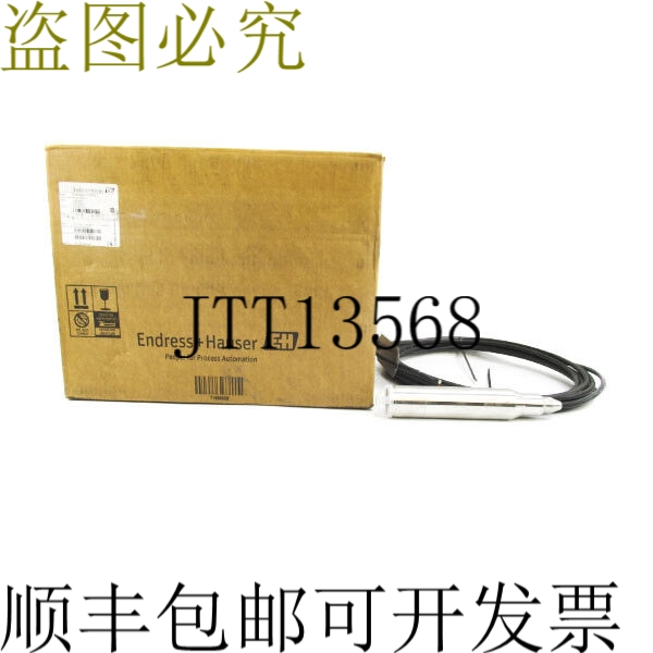 原装供应ENDRESS+HAUSER FMX21-3D21/0 F/W 01.00 10.5-35VDC NSM