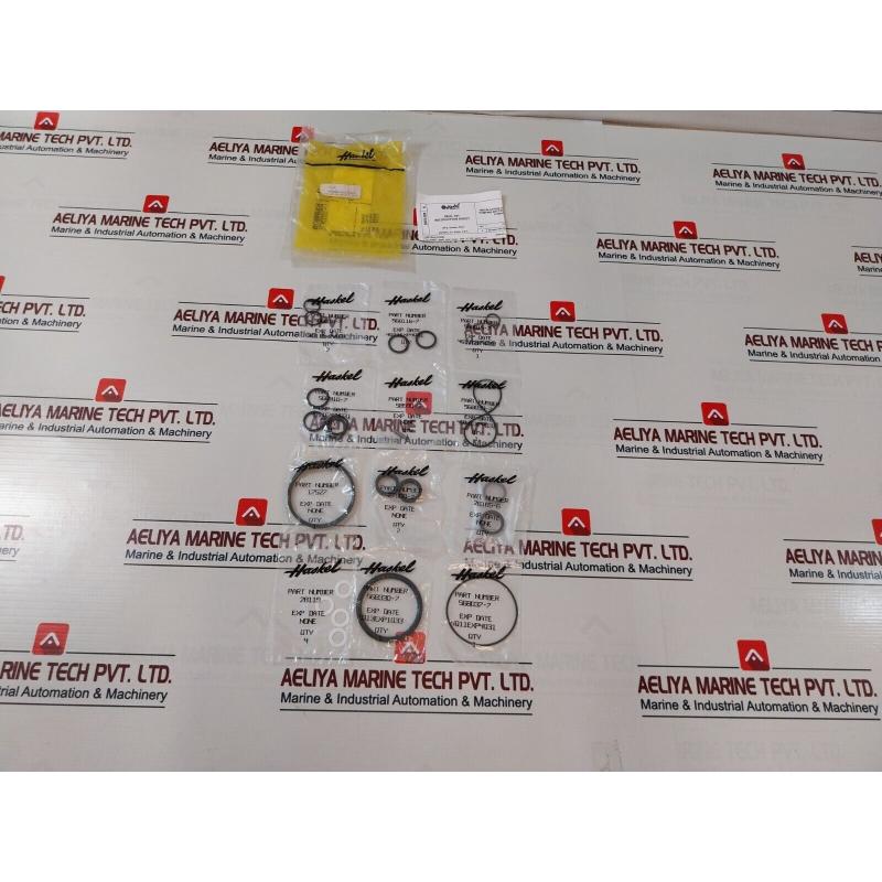 原装供应Haskel A Skis-008 液部分气动泵套件 Hdi9000-0217-fld-