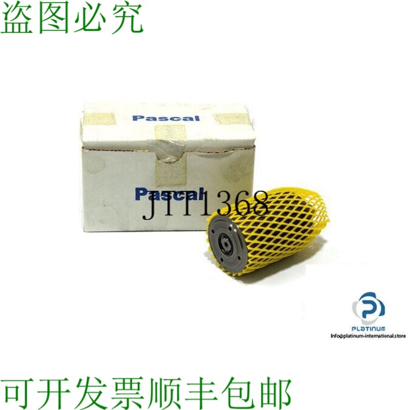 原装供应PASCAL CSY06-L 41640 B 液压缸
