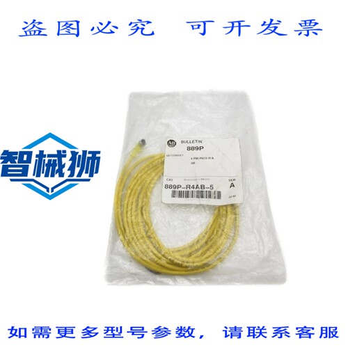 原装供应 罗克韦尔AB 889P-R4AB-5 SER.A NSMP