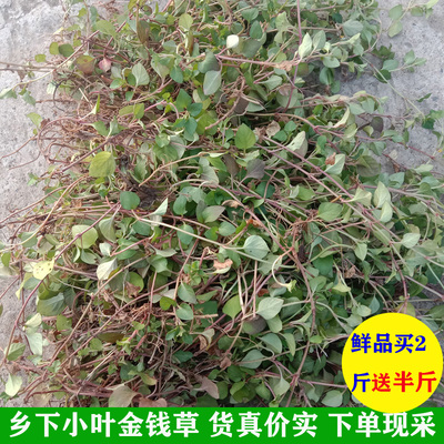 四川小叶金钱草中草药500g