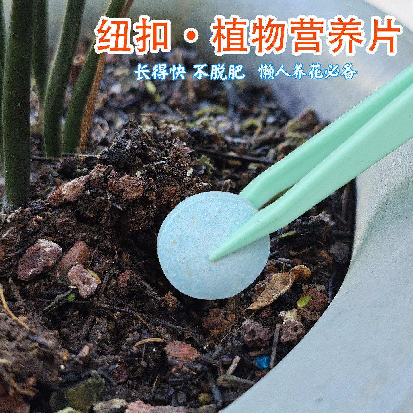 植物营养片花肥缓释片观花植物专用长势快不脱肥懒人养花,鲜花速递/花卉仿真/绿植园艺,家庭园艺肥料,淘宝优惠券,粉丝福利购,淘宝优惠卷