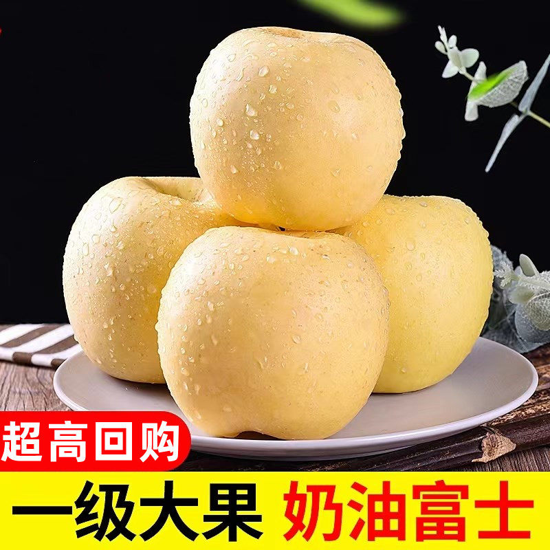 辽宁奶油富士苹果5斤新鲜现摘水果正宗黄金当季整箱批发奶香牛奶