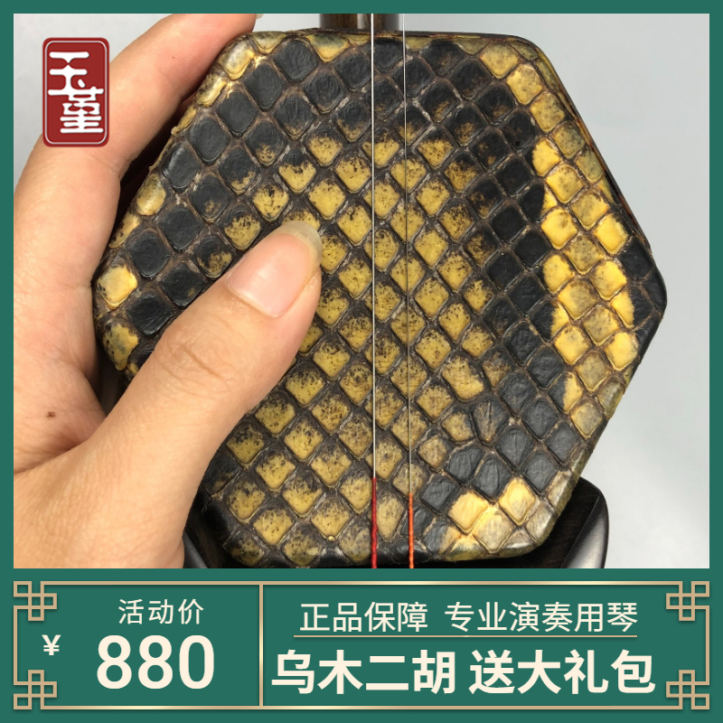 玉堇二胡专业演奏苏州乌木二胡