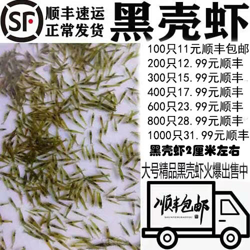 黑壳虾草缸清洁虾乌龟龙鱼饲料除虾