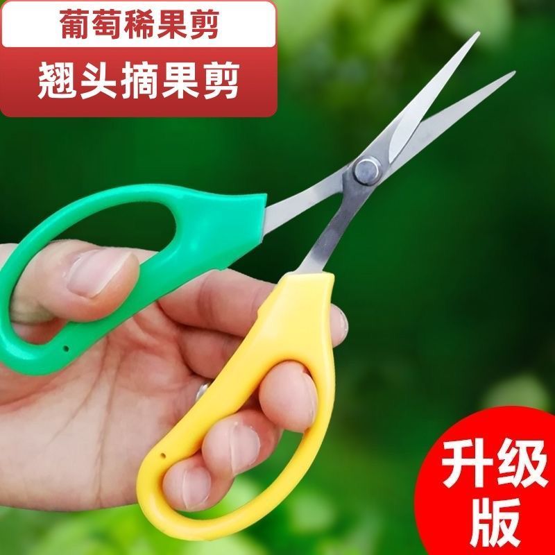 疏果剪子葡萄采摘翘头剪刀