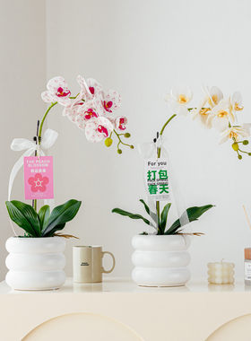 RoomTour新国潮40CM蝴蝶兰仿真花盆栽仿生花摆件插花装饰花塑料花