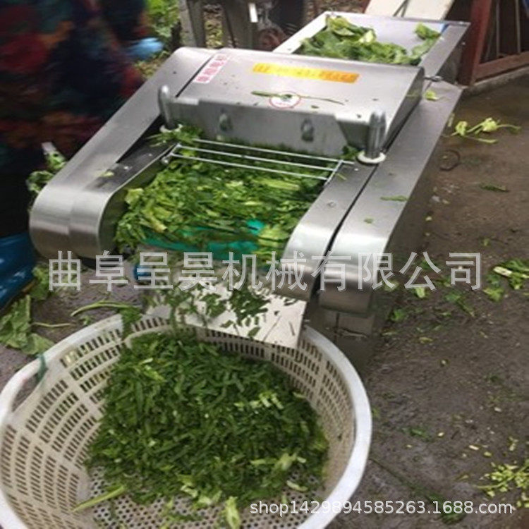 多功能叶茎蔬菜切丝切丁切馅机 萝卜红薯切片切条机 厨房轻便切菜