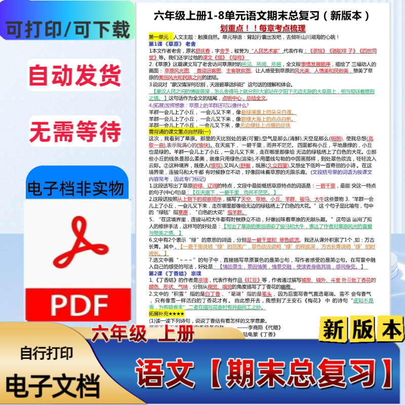 人教版六年级语文上册1-8单元语文期末总复习考前冲刺PDF电子档