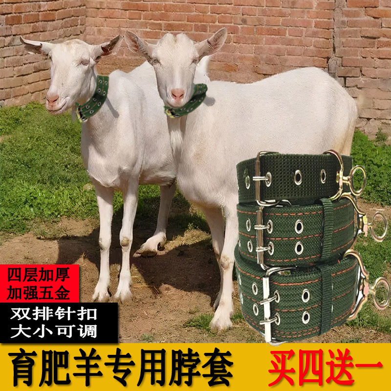 栓羊脖套项圈育肥羊保险扣拴脖圈绳子大型犬狗羊脖子神器养羊用品