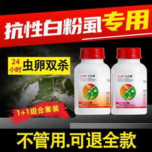 九分田白粉虱专用药效西红柿甜瓜辣椒子特番茄效白飞虱农药杀虫剂