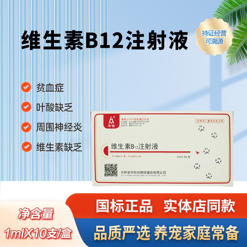 华牧维生素B12注射液猫狗用