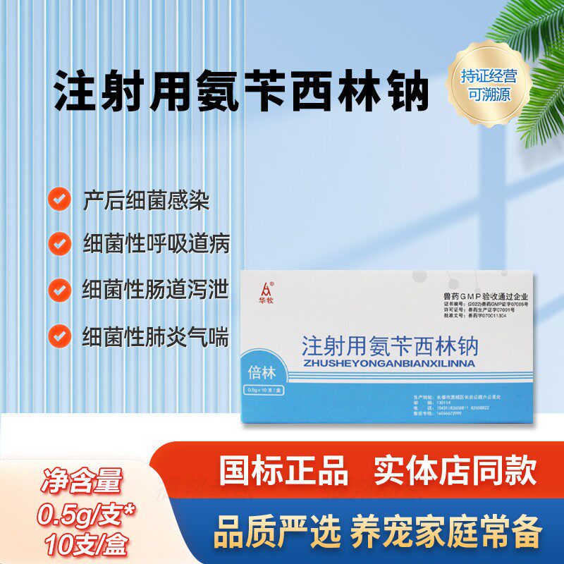 华牧兽用氨苄西林钠注射液消炎