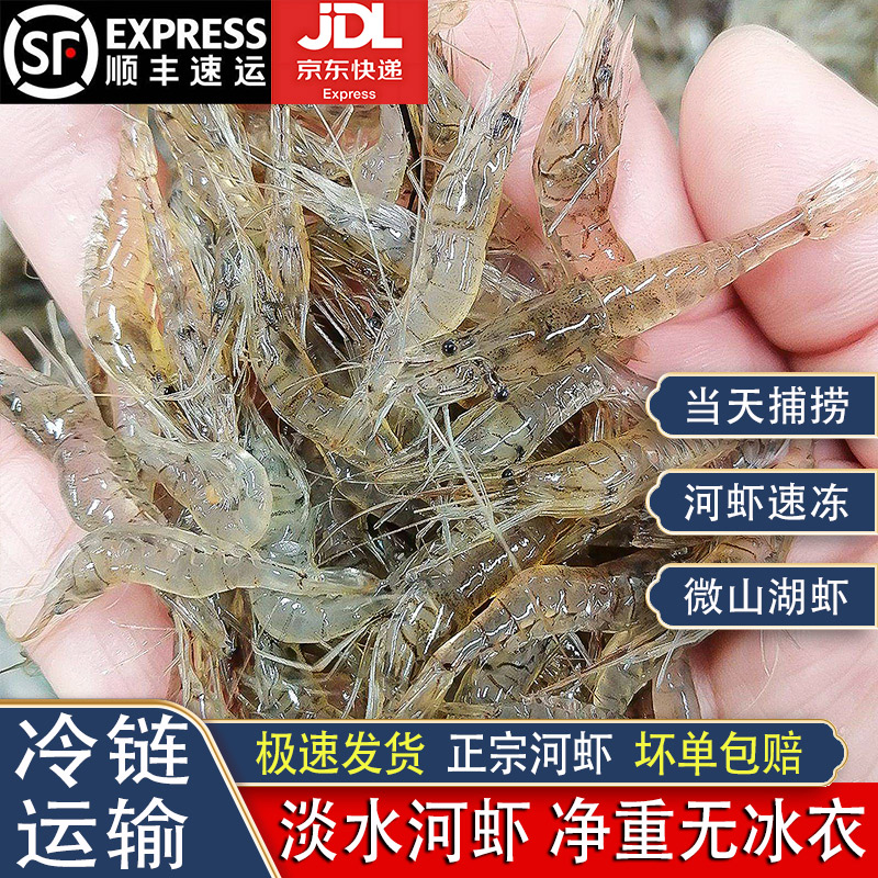 微山湖淡水小河虾新鲜