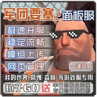 粒子｜军团要塞2 TeamFortress2 服务器出租网页面板开服多人联机