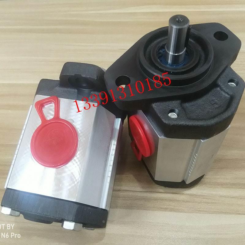 意大利马祖奇GHP1A系列齿轮泵MARZOCCHI GHP1A-D-3/4/5/6/7...-FG