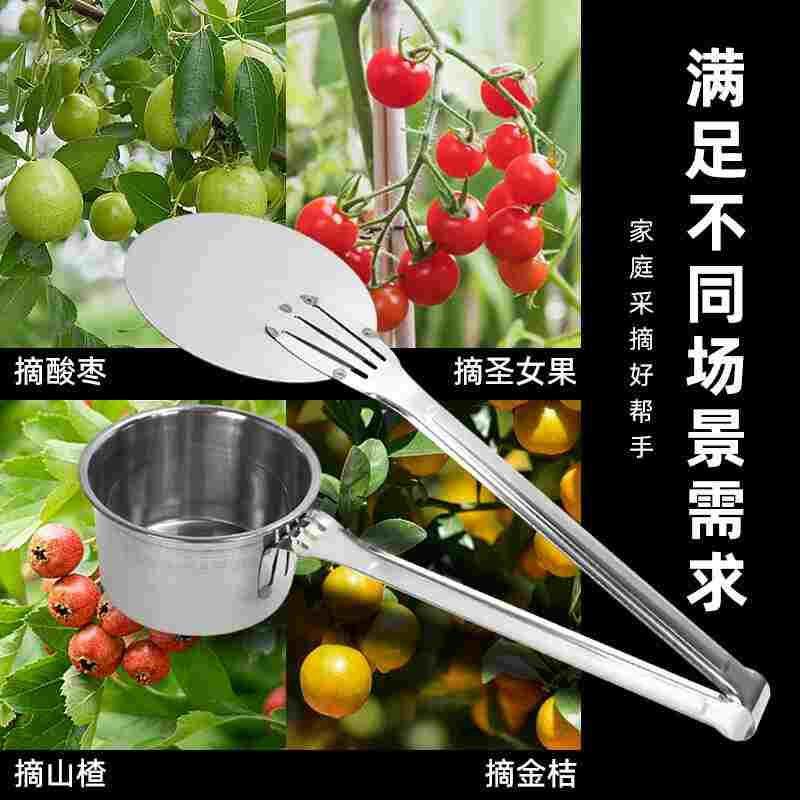 新款酸枣采摘神器工具摘山果小枣摘果器采山枣摘水果枸杞专用工具