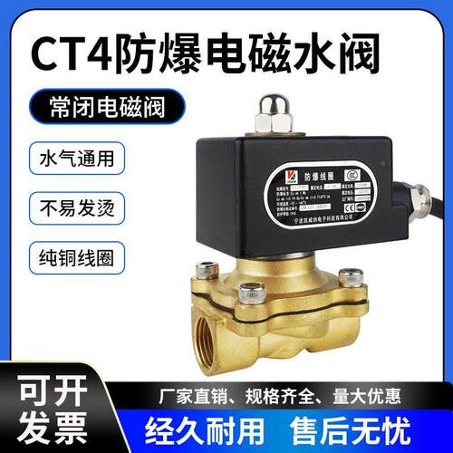 防爆电磁阀水阀2W160-15常闭全铜AC220V气阀DC24V2分4分6分1寸2寸