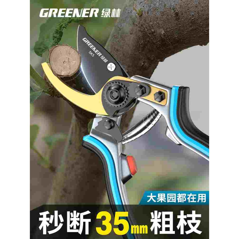 修枝剪剪树枝专用剪刀果树花剪盆栽园艺剪刀省力粗枝园林剪