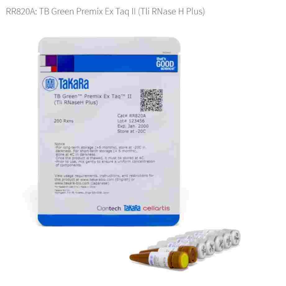 RR820A takara SYBR Premix Ex TaqII (Tli RNaseH Plus)