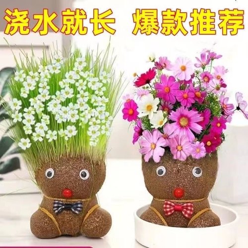 长草娃娃草头娃娃盆栽桌面摆件好养绿植室内阳台可爱宠物创意植物