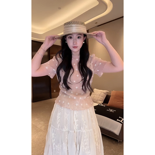 大李plus纯色网纱透感小花T恤女夏季冰爽麻感百搭显瘦短袖上衣