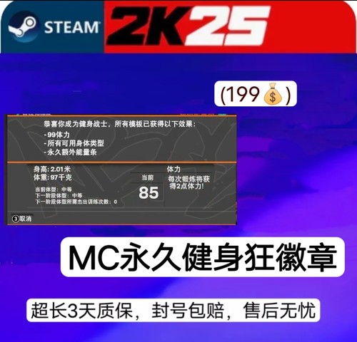 STEAM NBA2K25VC 健身狂徽章 永久加速器