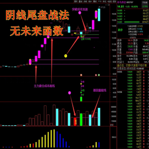 阴线尾盘战法十分钟高抛低吸神器次日卖超短线通达信指标公式源码