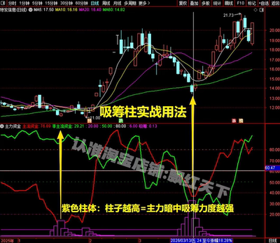 主力资金 大盘整体资金 散户跟风资金主力吸筹柱底部主力吸筹拿货