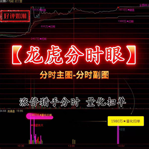 2026龙虎分时眼全套分时主图加副图电脑手机通用做T选股神器