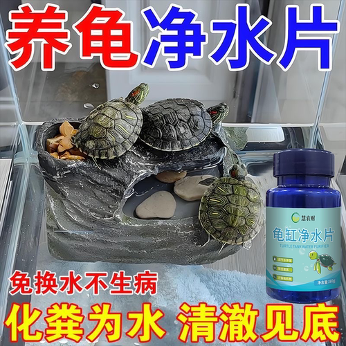 乌龟水质净化无刺激不伤龟
