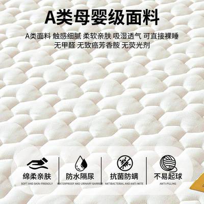 22025-11.025四季通用保防隔垫尿床水笠单件席梦思床护套夹棉床罩