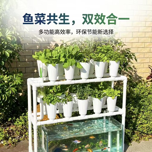 20口鱼菜共生双层无土水培系统