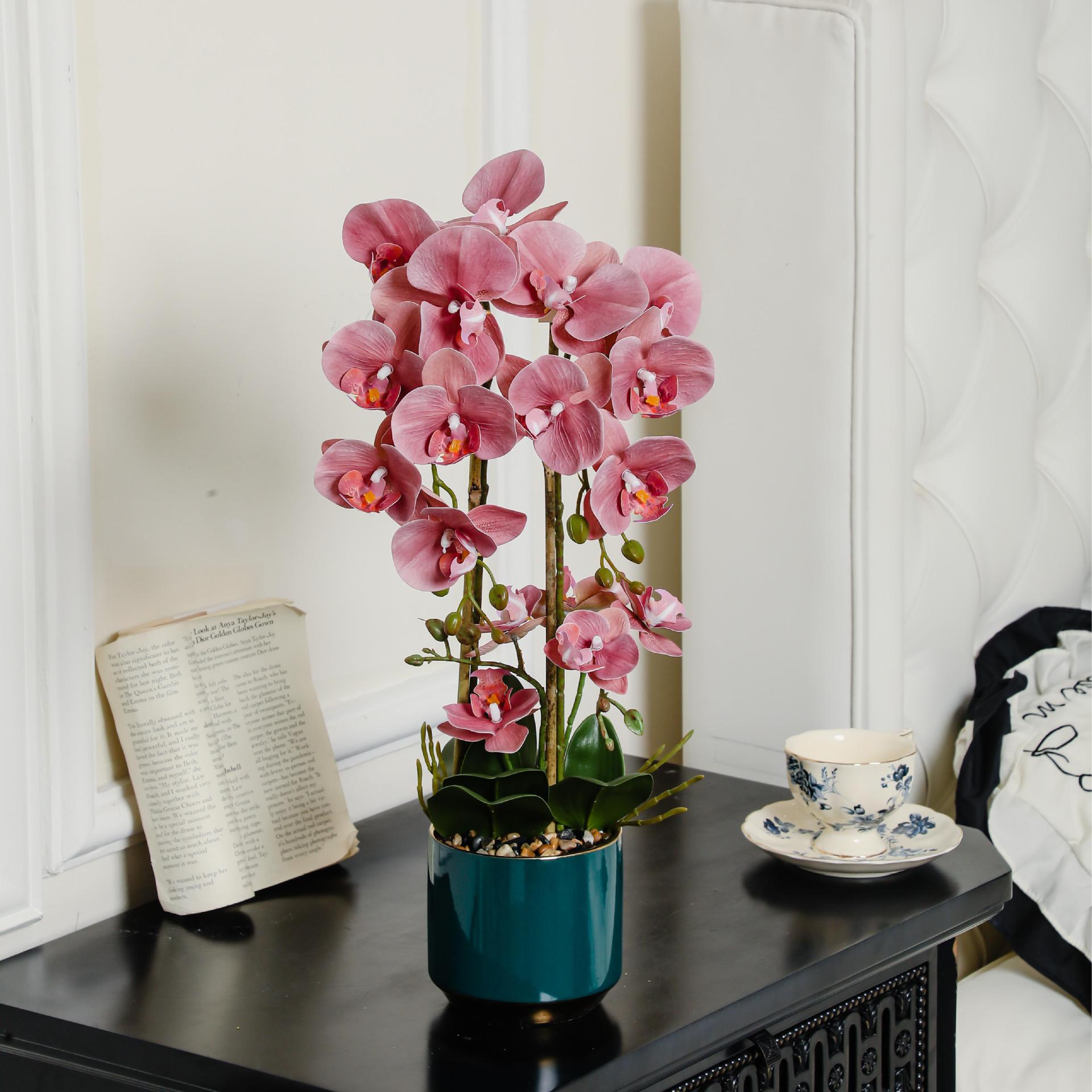 仿真花兰盆栽带花剑米歇尔红色