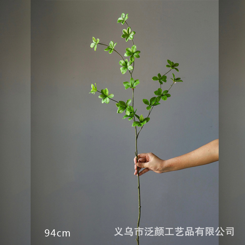 仿真植物日本吊钟in网红马醉木
