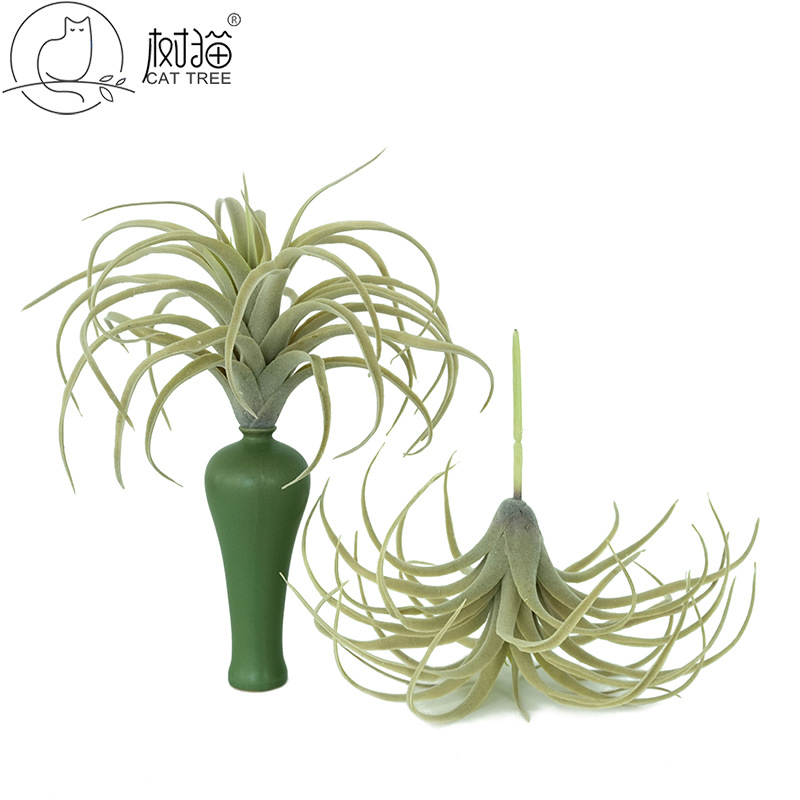 大号仿真空气凤梨25m空气草植毛