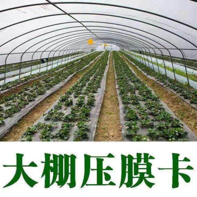 包100个大棚卡子压膜卡塑料卡扣固膜卡薄膜卡园艺棚钢管卡正反.