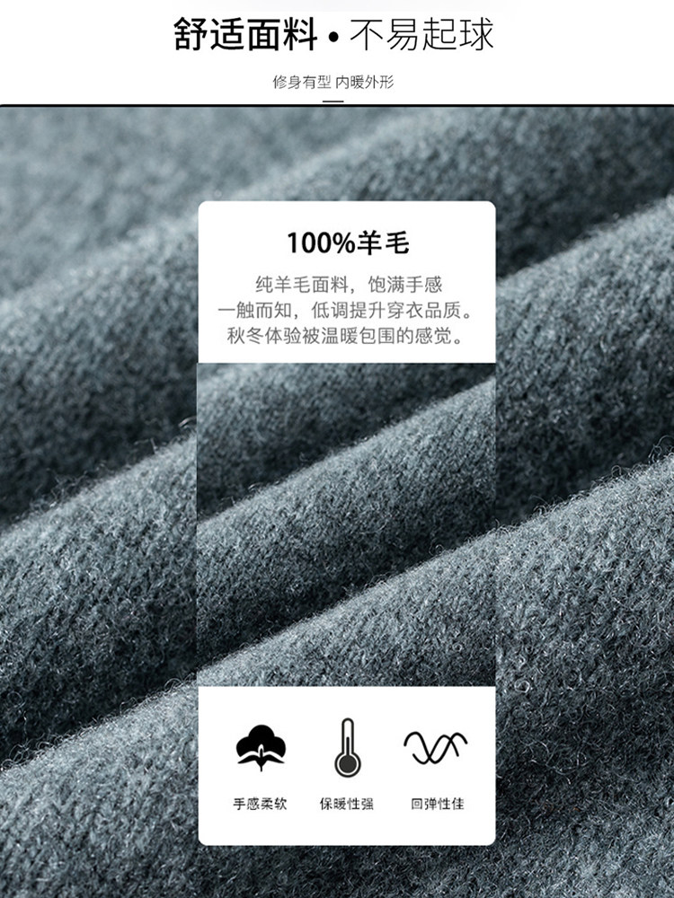 ROMON 100% 양모 두꺼운 스웨터 남성 봄 가을 비즈니스 캐주얼 라운드 넥 따뜻한 풀오버 모직 스웨터