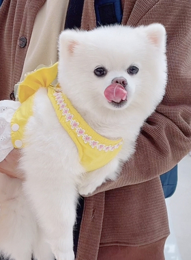 新款高端私人订制黄色蕾丝大蝴蝶结宠物犬猫狗牵引胸背toffy同款