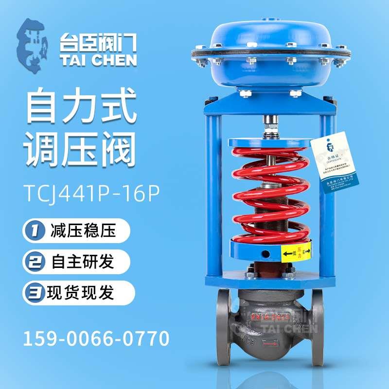 台臣阀门自力式压力调节阀蒸汽减压稳压泄压阀高温管道氮气控制阀