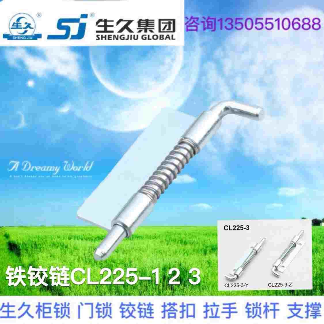 生久柜锁不锈钢铁铰链平板焊接式CL225-1 1A 铰链 弹簧插销转轴