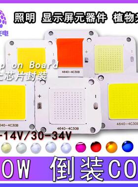 4640倒装COB集成50W灯珠12V全光谱白光粉光 红光绿光蓝光厂家LED