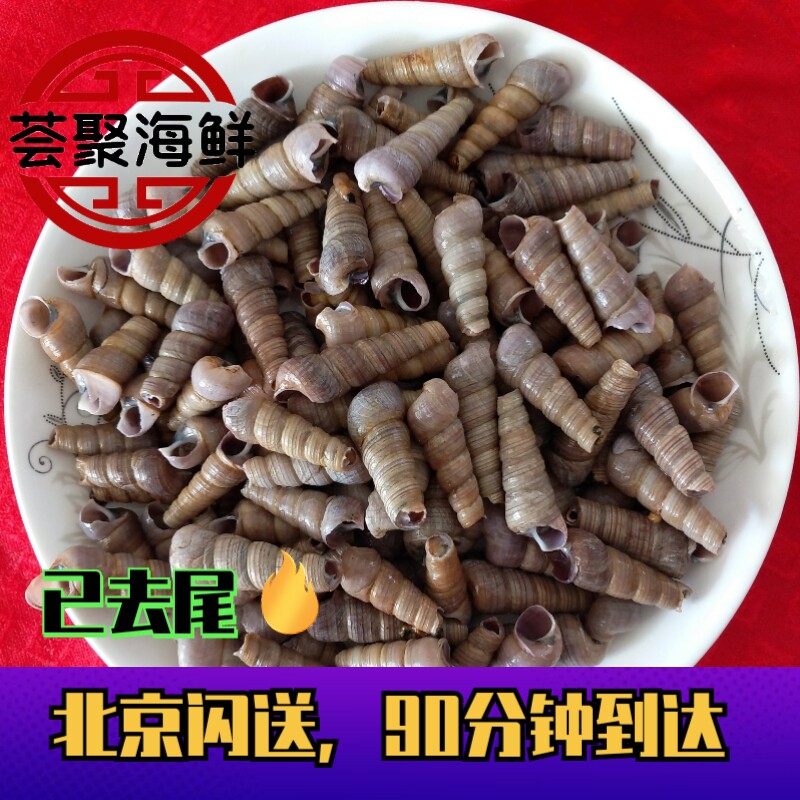 500g已去尾钉螺 北京闪送 海鲜水产贝类 鲜活尖螺海螺 新鲜钉螺丝