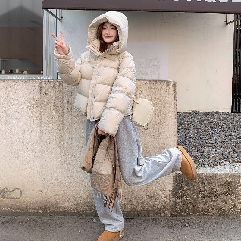 【现货】90绒2025冬装新款连帽羽绒服095-8363-P290-K438,女装羽绒服,浙宝095(原288A)