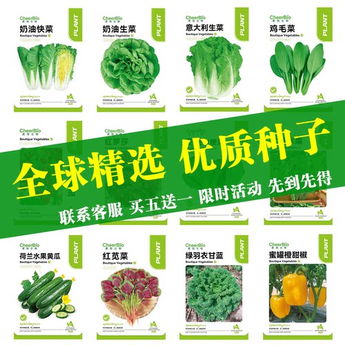 种子蔬菜瓜果爱培生物发芽率高