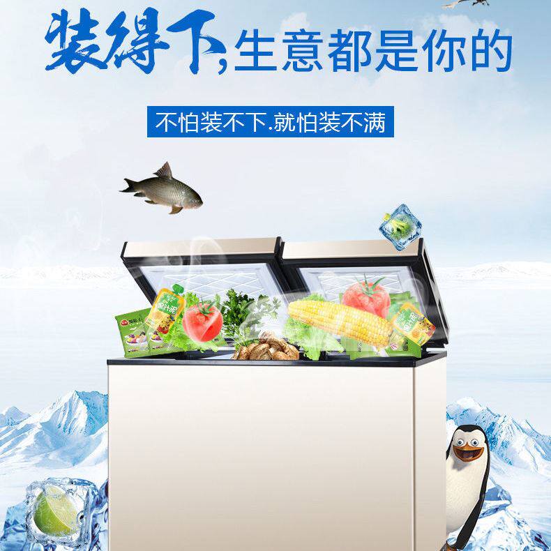 特价冷柜家用商用小型卧式大容量双门双温冷藏冷冻二级两用小直冷