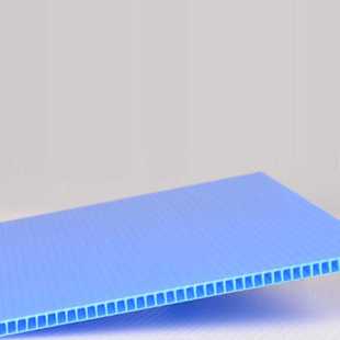 新款直销pp中空板 pp塑料蜂窝板蜂巢瓦楞格子板pp万通板定 做防静