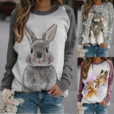 Sweatshirt Student girl pullover shirt运动衫学生女套头衫衬衫